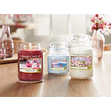 Yankee Candle Majestic Mount Fuji - Vonná sviečka Majestic Mount Fuji Classic veľká sklenená 623 g