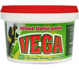 Vega umývacia a čistiaca pasta na silne znečistenú pokožku predovšetkým rúk 700 g
