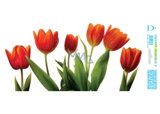 Arch Celoročná nálepka, okenná fólia bez lepidla Červený tulipánový pás 35 x 16 cm