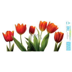 Arch Celoročná nálepka, okenná fólia bez lepidla Červený tulipánový pás 35 x 16 cm