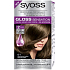 Syoss Gloss Sensation Šetrná farba na vlasy bez amoniaku 6-1 pralinkový hnedý 115 ml