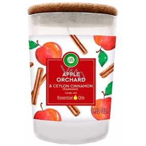 Air Wick Essential Oils Apple Orchard & Ceylon Cinnamon - Jablkový sad a Škorica vonná sviečka sklo 185 g