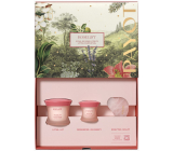 Payot Roselift Collagen Jour denný liftingový krém 50 ml + Roselift Collagen Regard očná liftingová starostlivosť 15 ml + Gua Sha ružový kremeň, kozmetická sada pre ženy