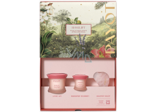 Payot Roselift Collagen Jour denný liftingový krém 50 ml + Roselift Collagen Regard očná liftingová starostlivosť 15 ml + Gua Sha ružový kremeň, kozmetická sada pre ženy