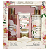 Jeanne en Provence Pivoine Feerie - Pivoňková víla krém na ruky 75 ml + telové mlieko 250 ml + sprchový olej 250 ml, kozmetická sada