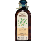 Green Pharmacy Brezové pupene a Ricínový olej šampón proti lupinám 350 ml