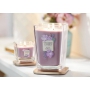 Yankee Candle Sugared Wildflowers - Sladké divoké kvety sójová vonná sviečka Elevation veľká sklo 2 knôty 553 g