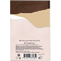 Bourjois Delice de Poudre Rozjasňujúci paletka 18 g