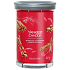 Yankee Candle Sparkling Cinnamon - sviečka Sparkling Cinnamon Signature Tumbler veľké sklo 2 knôty 567 g