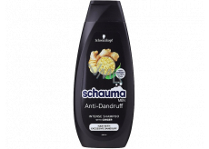 Schauma Men Anti-Dandruff šampón proti lupinám pre mužov 250 ml