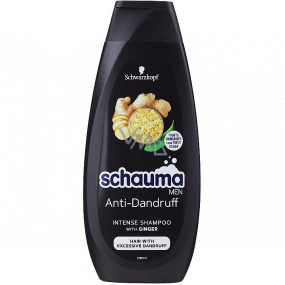Schauma Men Anti-Dandruff šampón proti lupinám pre mužov 250 ml