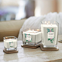 Yankee Candle Exotic Bergamot - Exotický bergamot sójová vonná sviečka Elevation malá sklo 1 knôt 96 g
