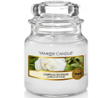 Yankee Candle Camellia Blossom - Kamélie vonná sviečka Classic malá sklo 104 g