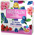 Agro Kristalon Rododendron vo vode rozpustné univerzálne hnojivo 0,5 kg pre 250 l zálievky