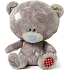 Me to You Tiny Tatty Teddy Medvedík s rolničkou 16 cm