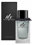 Burberry Mr. Burberry toaletná voda pre mužov 150 ml