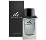 Burberry Mr. Burberry toaletná voda pre mužov 150 ml