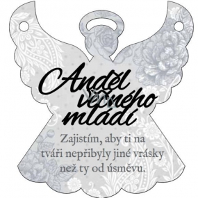 Albi Závesná plaketka anjel Anjel večnej mladosti 9 x 10 cm