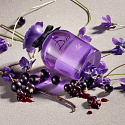 Dolce & Gabbana Dolce Violet toaletná voda pre ženy 75 ml
