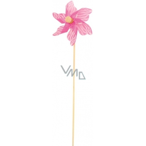 Veterník s bielym prúžkom ružový 9 cm + špajle 1 kus