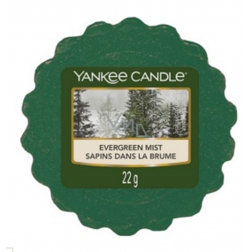 Yankee Candle Evergreen Mist - Lesné hmla vonný vosk do aromalampy 22 g
