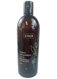 Ziaja Nettle s výťažkami z pŕhľavy proti lupinám šampón na vlasy 500 ml