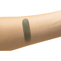 Catrice Absolute Eye Colour Mono očné tiene 1000 Kermit Closer 2 g