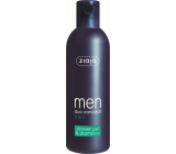 Ziaja Men sprchový gél a šampón na vlasy 2v1 300 ml