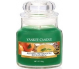 Yankee Candle Alfresco Afternoon - Alfresco popoludní vonná sviečka Classic malá sklo 104 g