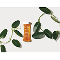 Payot My Payot Peeling Eclat mikro exfoliačný primer pre každodenný efekt novej pokožky, rozjasňujúca pleťová starostlivosť 125 ml