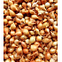 Štutgartská, sadzačka cibuľa 25 kg