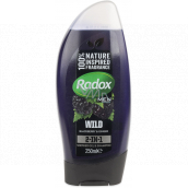 Radox Men Feel Wild Blackberry & Ginger 2v1 sprchový gél a šampón pre mužov 250 ml