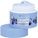 Bielenda Blueberry C-Tox hydratačná a rozjasňujúca pleťová krémová pena denná/nočná 40 g