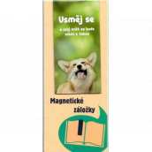 Albi Magnetická záložka do knižky Usmej sa 8,7 x 4,4 cm