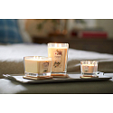Yankee Candle Sweet Nectar Blossom - Sladký kvetinový nektár sójová vonná sviečka Elevation strednej sklo 3 knôty 347 g