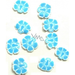 Professional Ozdoby na nechty kvety modro-biele 132 1 balenie