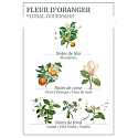 Panier des Sens Pomarančový kvet sprchový gél 50 ml + telové mlieko 50 ml + toaletná voda 3,5 ml + krém na ruky 30 ml, cestovné darčeková sada