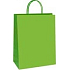 Ditipo Darčeková papierová taška 18 x 8 x 24 cm ECO Green