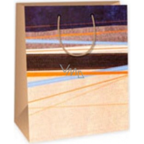 Ditipo Darčeková papierová taška modro 26,4 x 13,6 x 32,7 cm hnedo oranžové vodorovné pruhy DAB