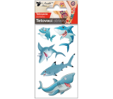 Tetovacie obtlačky Merry Sharks 10,5 x 6 cm