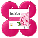 Bolsius Aromatic 2.0 Pivoňka - Pivoňka maxi vonné čajové sviečky 8 kusov, doba horenia 8 hodín