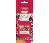 Yankee Candle Červená malina - papierová visačka s vôňou červenej maliny 12 g