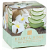Heart & Home Upokojujúci aloe Sójová vonná sviečka bez obalu horí až 15 hodín 53 g