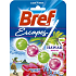Bref Escapes Power Aktiv 4 Formula Hawaii Hibiscus WC blok 50 g