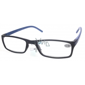 Berkeley Čítacie dioptrické okuliare +2,5 plast čierne modré stranice 1 kus MC2 ER4045