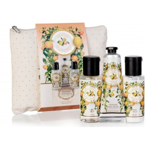 Panier des Sens Provence Citrus Travel Set sprchový gél 50 ml + telové mlieko 50 ml + krém na ruky 30 ml + taštička, cestovná kozmetická sada