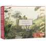 Payot Roselift Collagen Jour denný liftingový krém 50 ml + Roselift Collagen Regard očná liftingová starostlivosť 15 ml + Gua Sha ružový kremeň, kozmetická sada pre ženy