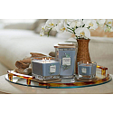Yankee Candle Coastal Cypress - Pobrežná cyprus sójová vonná sviečka Elevation strednej sklo 3 knôty 347 g