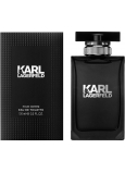 Karl Lagerfeld toaletná voda 100 ml