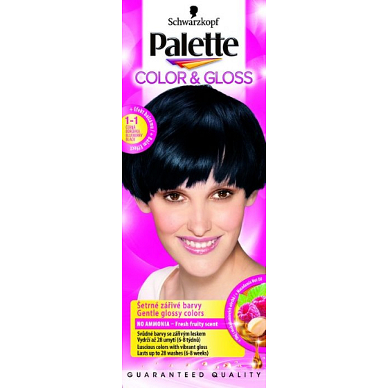 Palette Color & Gloss farba na vlasy 1 - 1 Čierna čučoriedka